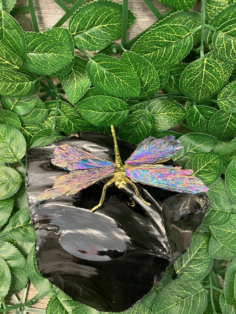 Dragonfly - Aura Kyanite
