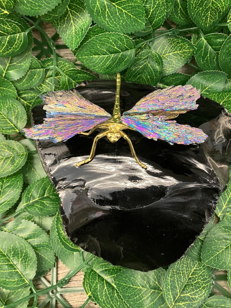 Dragonfly - Aura Kyanite