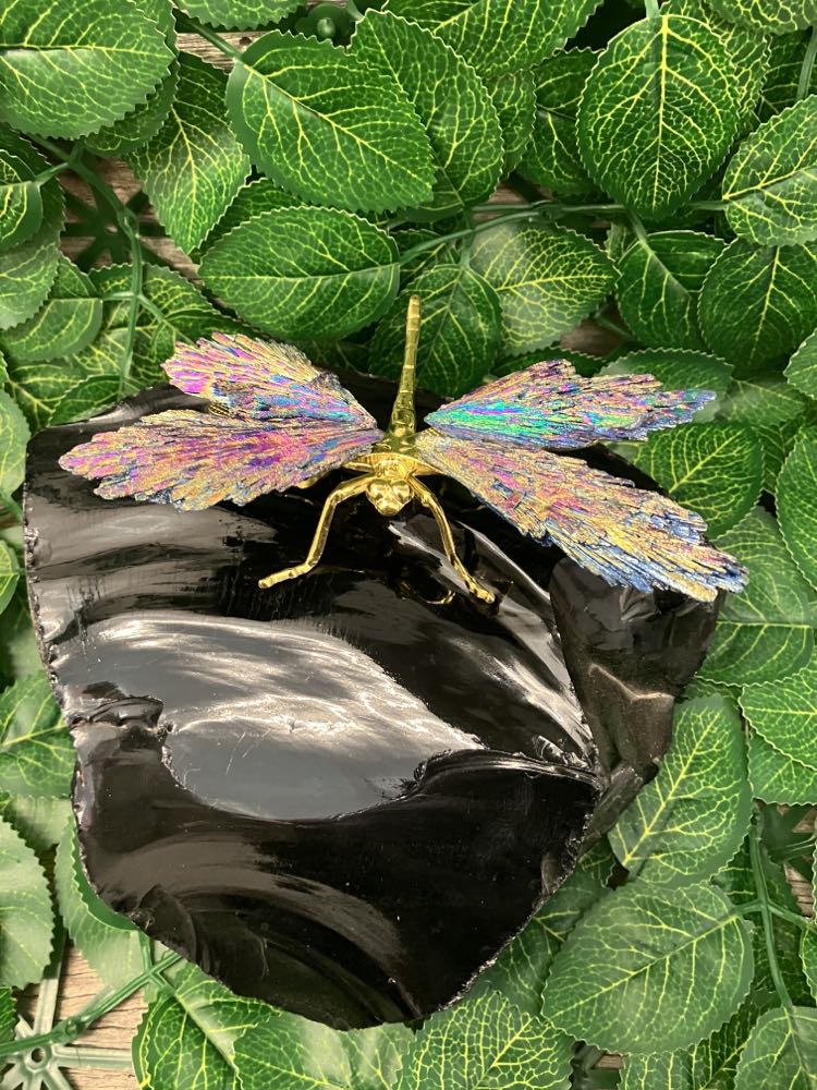 Dragonfly - Aura Kyanite