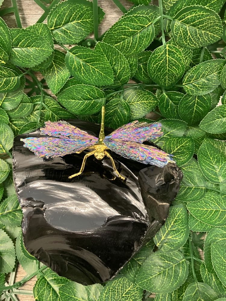 Dragonfly - Aura Kyanite