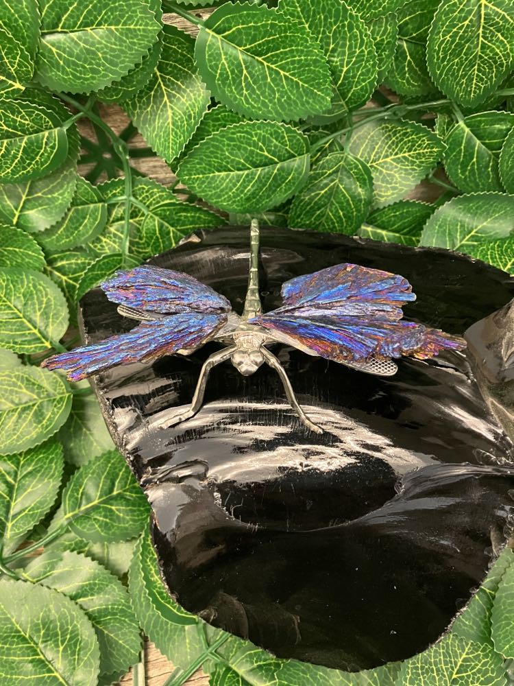 Dragonfly - Aura Kyanite