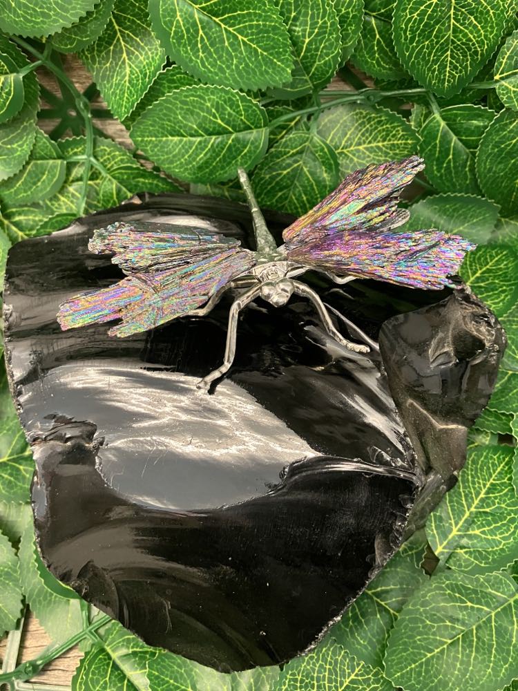 Dragonfly - Aura Kyanite