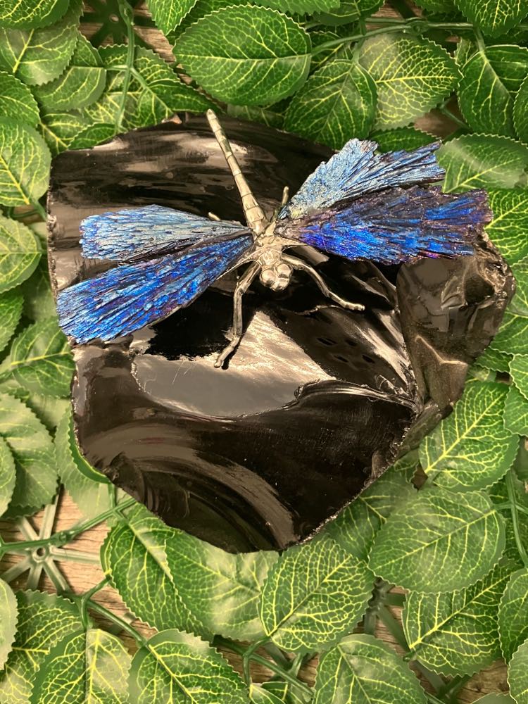 Dragonfly - Aura Kyanite