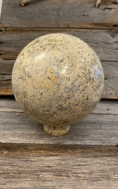 Large coral fossil sphere