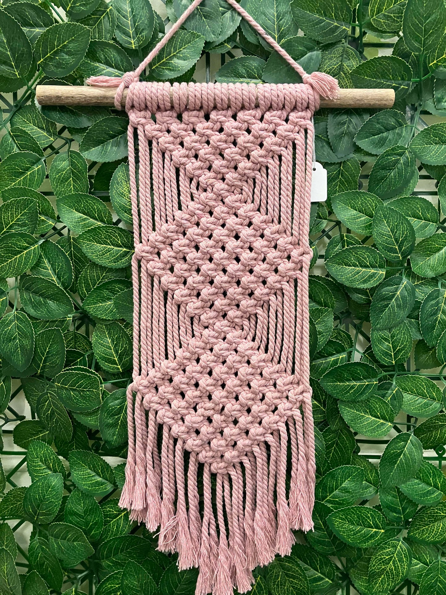 lush green background & pink macrame hanger Boho