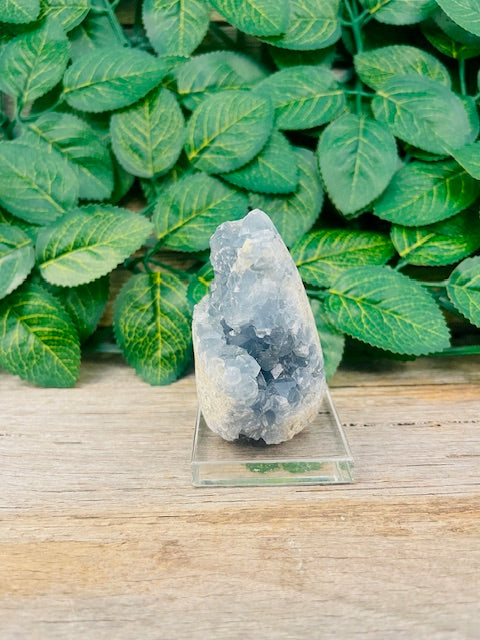 Celesite crystal with stand