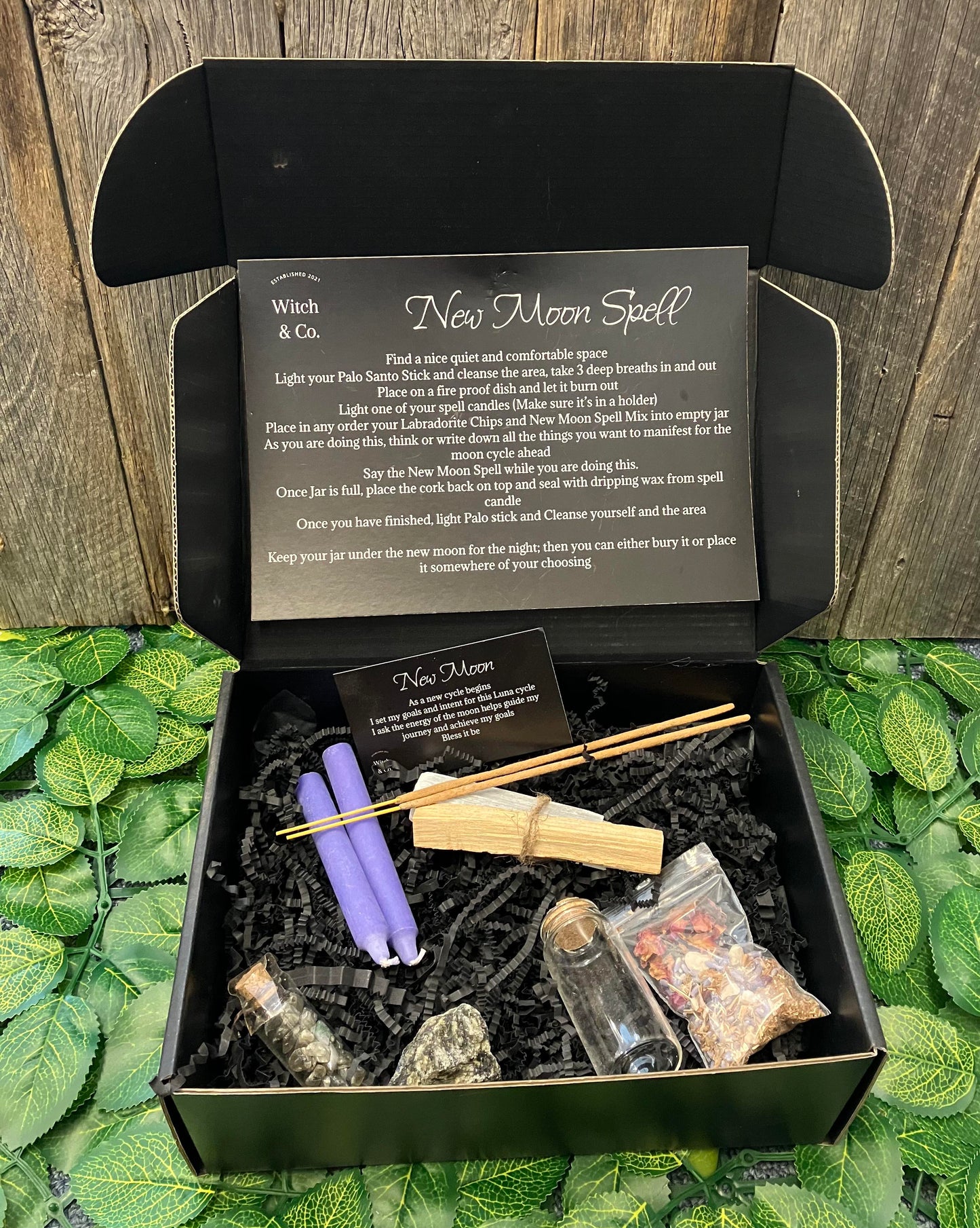 Spell Box- Witch and Co