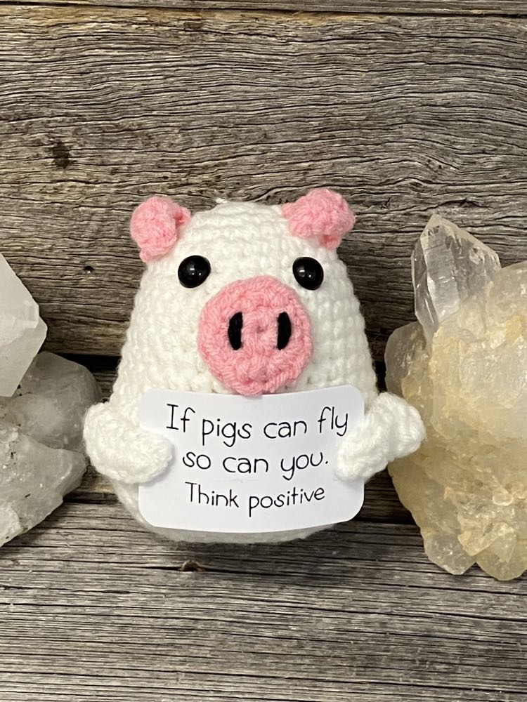 Positive Pals