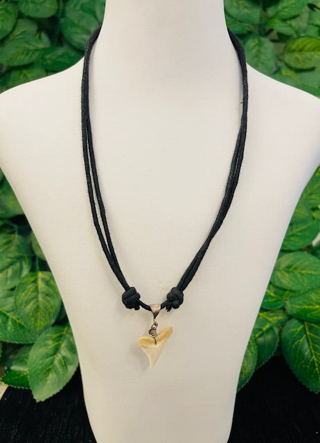 Shark Tooth- Necklace