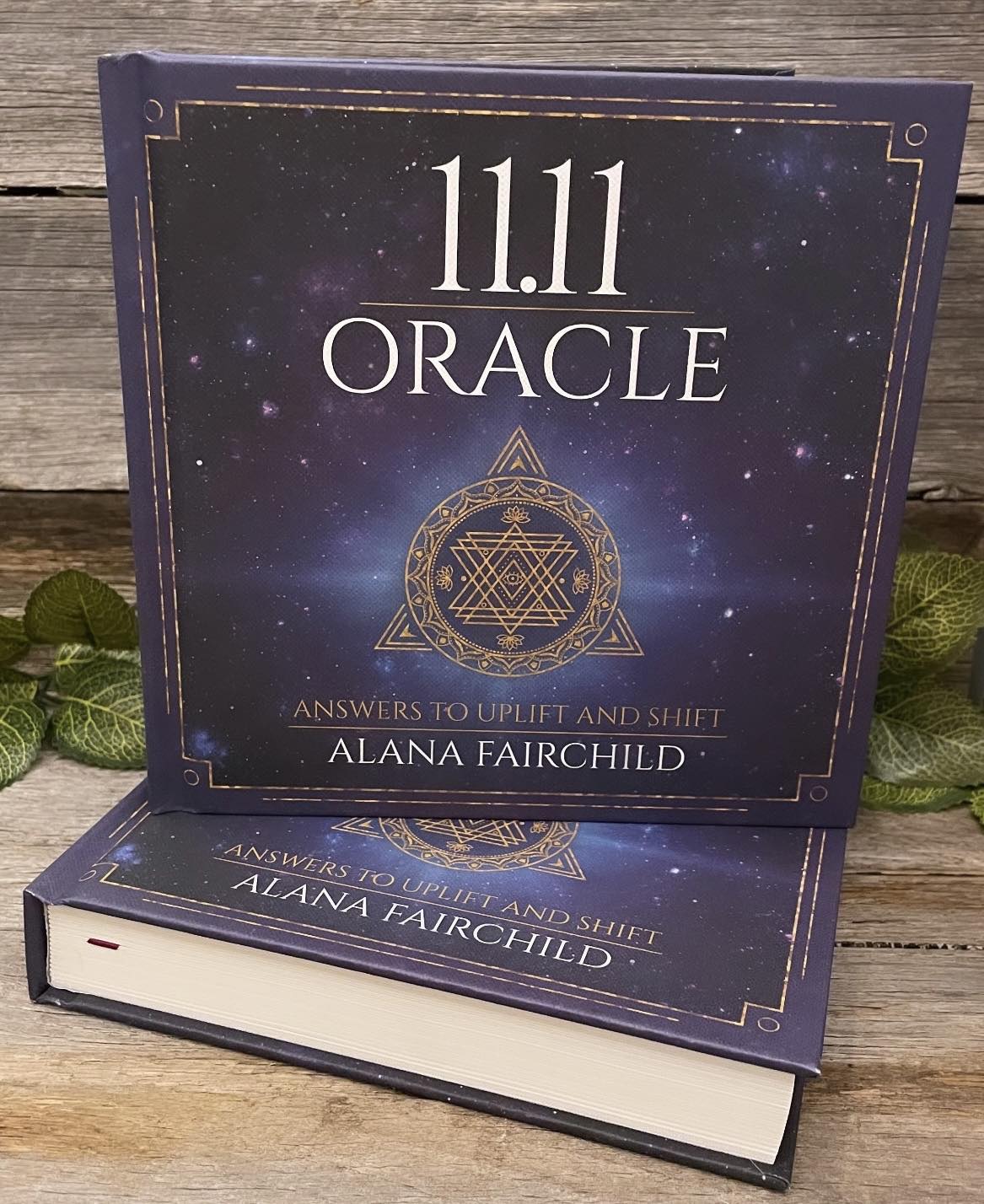 11.11 Oracle by Alana Fairchild