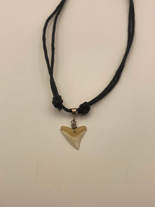 Shark Tooth- Necklace