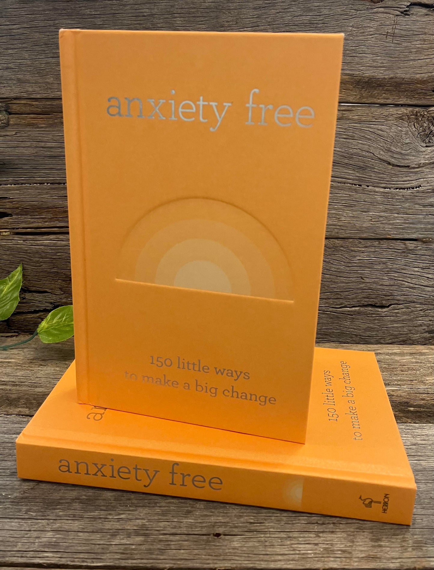 Anxiety Free - Book