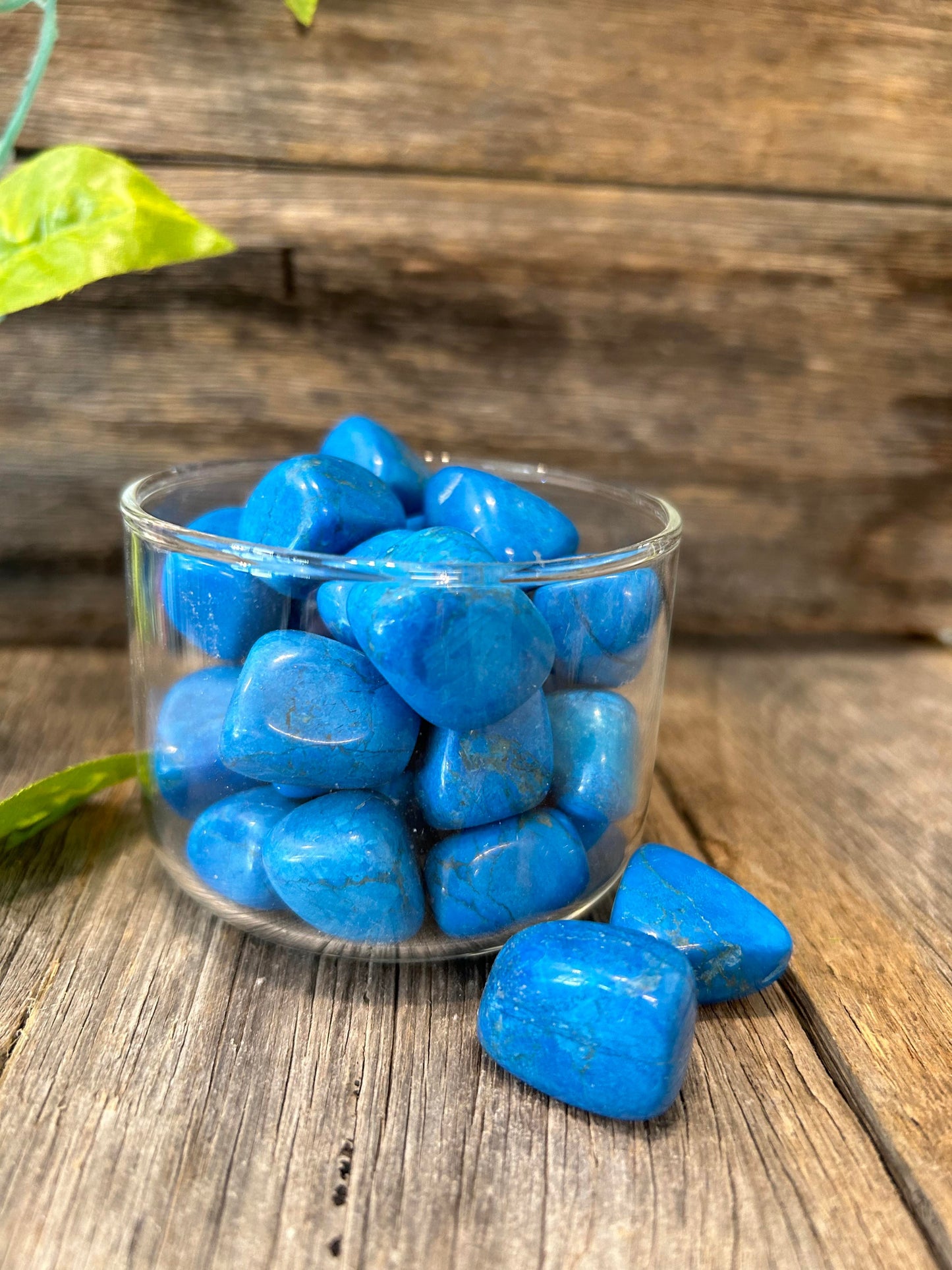 Blue Howlite Tumbles