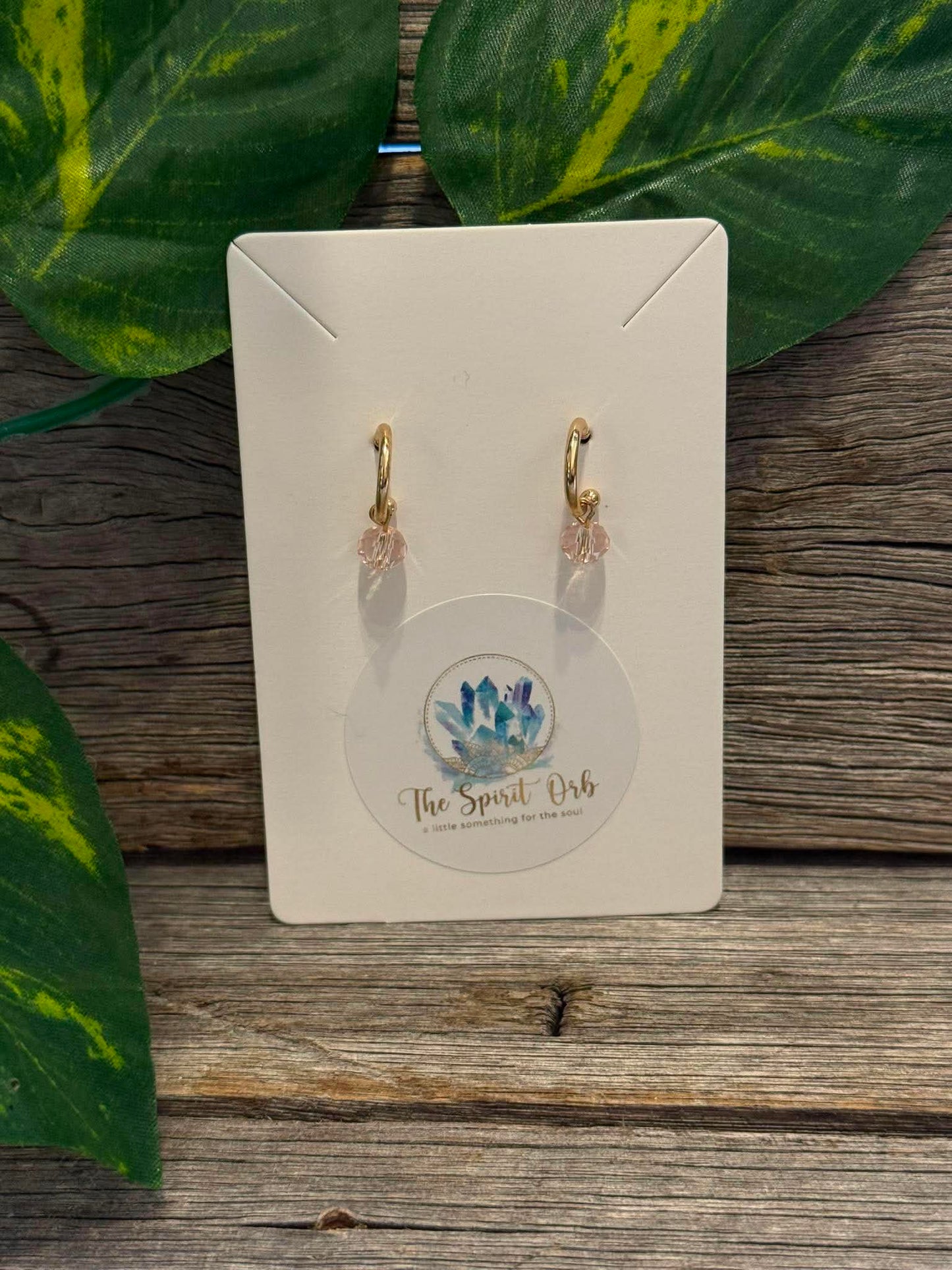 $10 Earrings