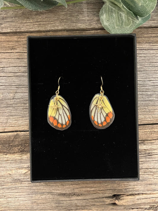 DUTCHIES DELIGHTS REAL BUTTERFLY WING EARINGS