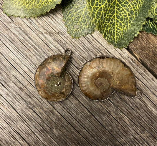 Ammonite Pendant