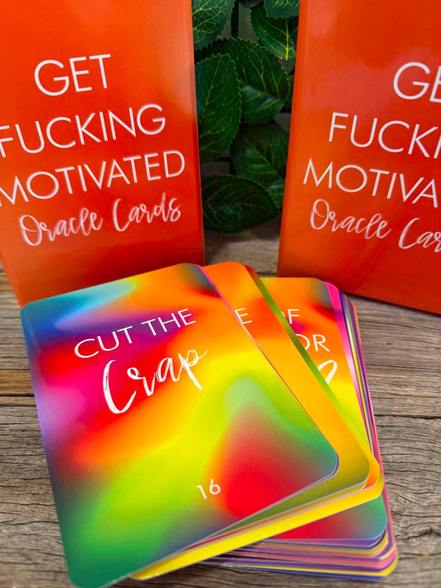 Get Fucking Motivated Oracle Cards