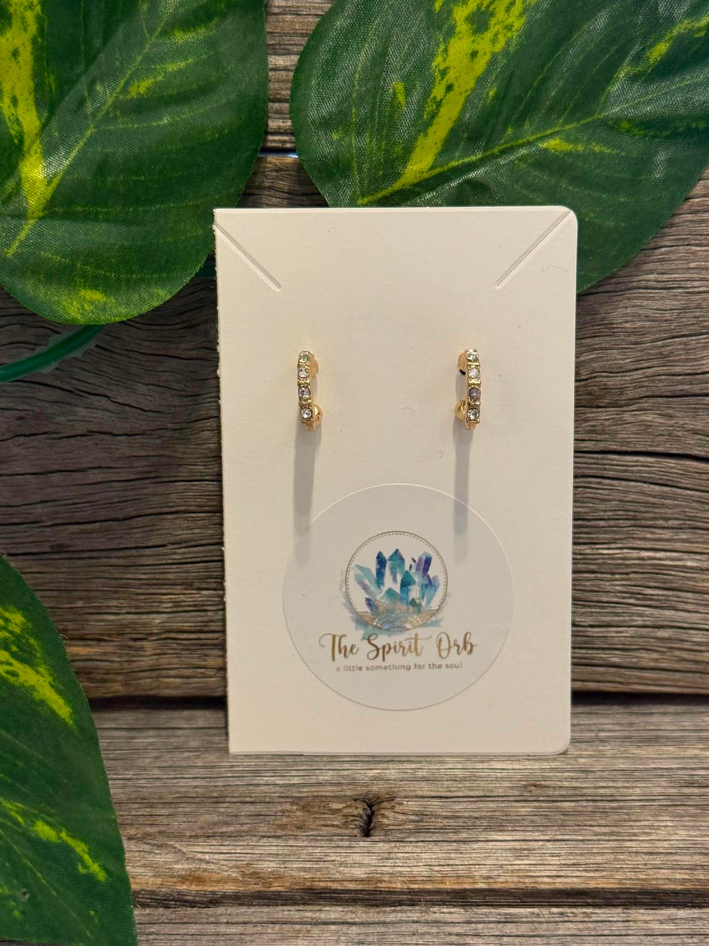 $10 Earrings