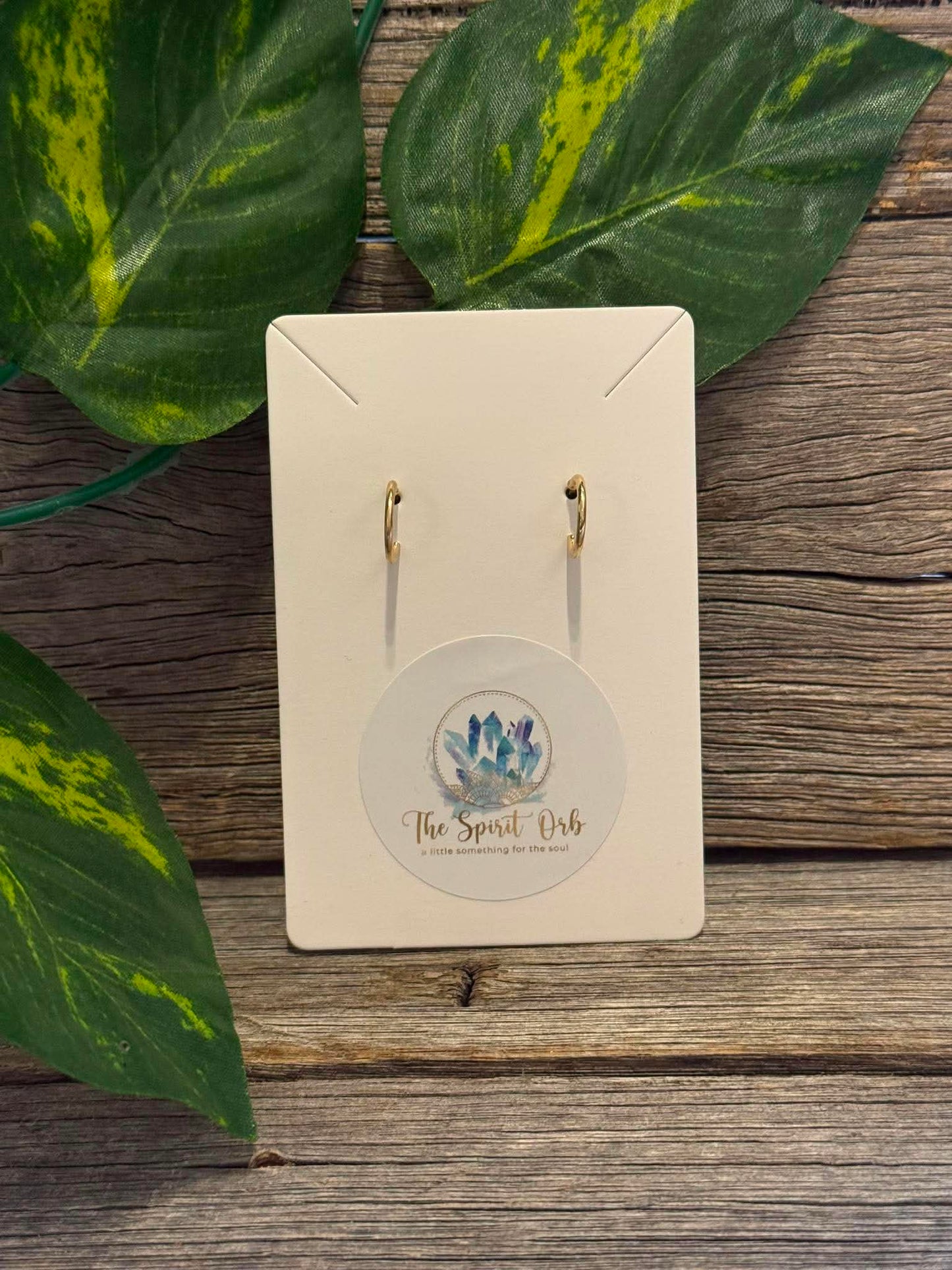 $10 Earrings
