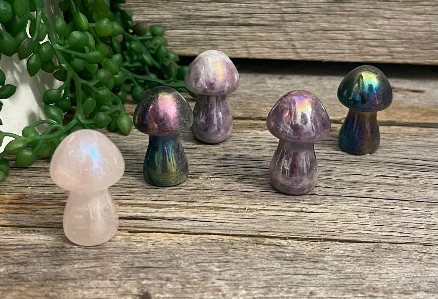 Electro Plated Mushrooms