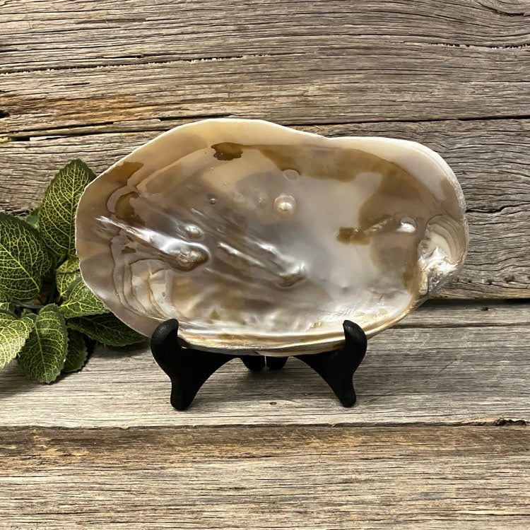 Pearl Shell Ornament