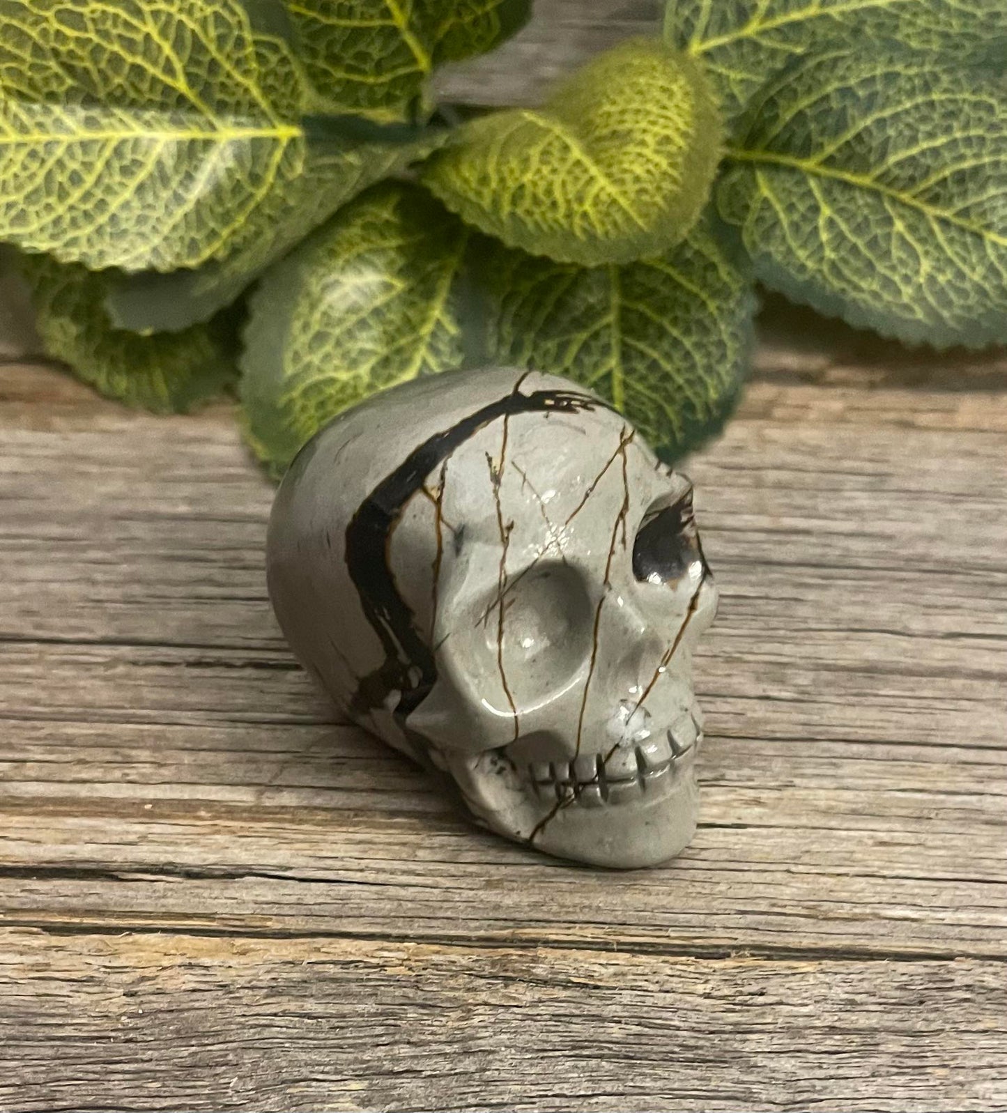 Picture Jasper Skull