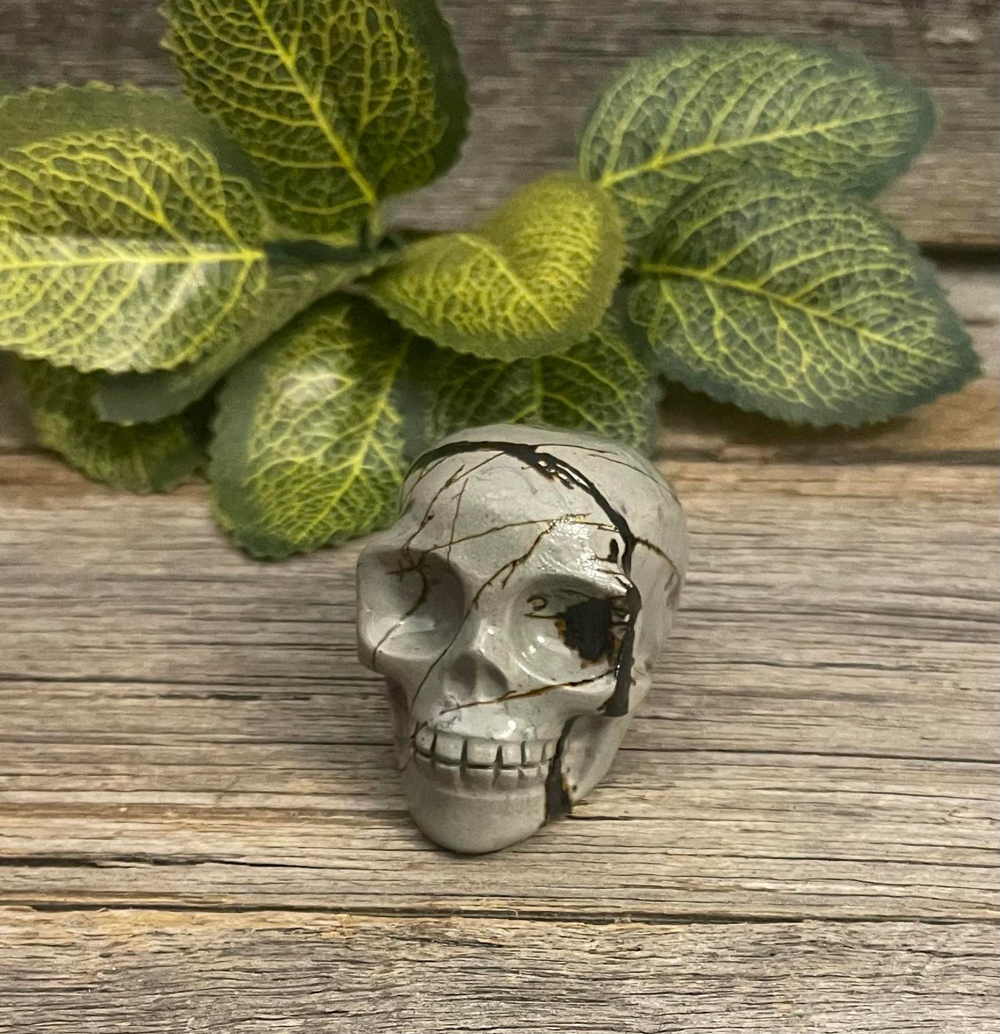 Picture Jasper Skull