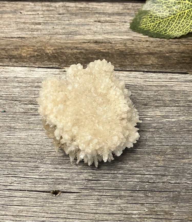 Selenite Flowers Specimen