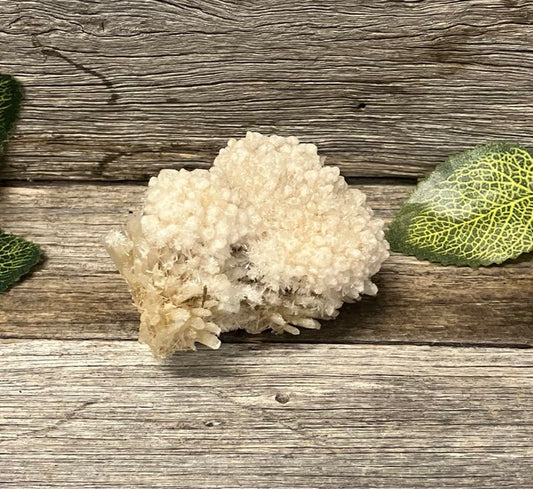 Selenite Flowers Specimen