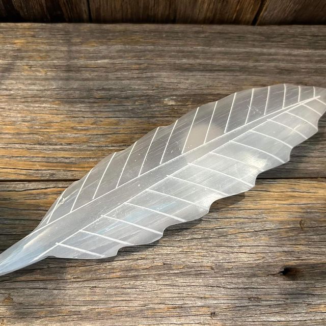 Selenite Feather - 20cm