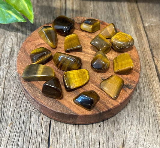 Tigers Eye Tumbles