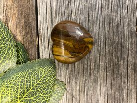 Tigers Eye Heart