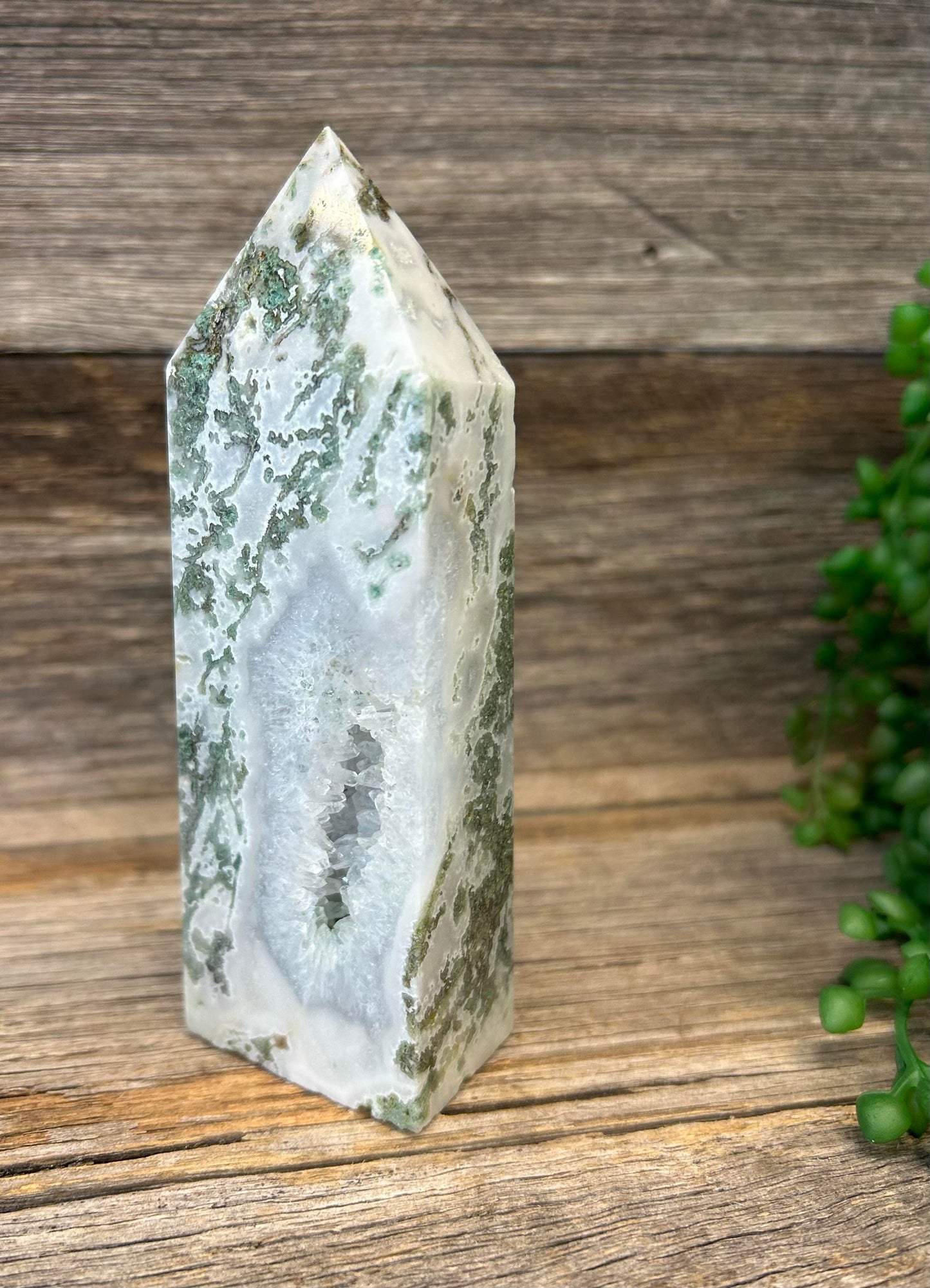 Moss Agate Point