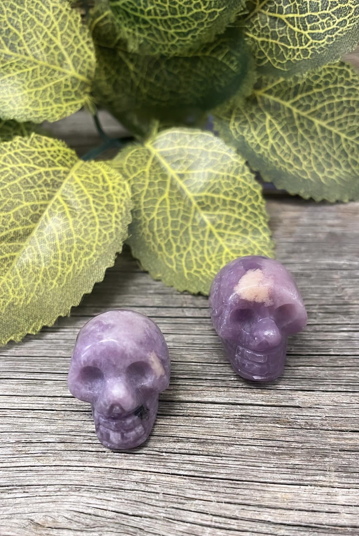 Mini Skulls