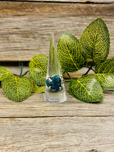 Apatite ring