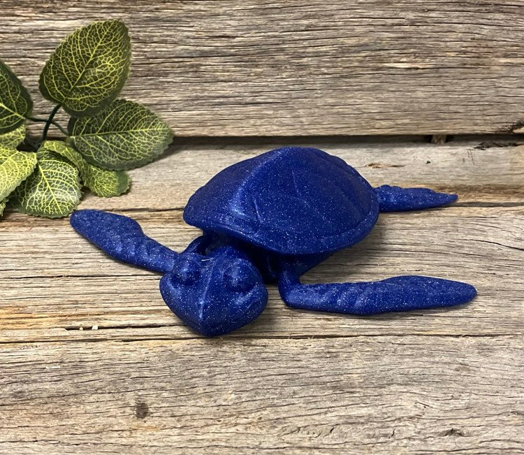 Blue Turtle Sensory Toy