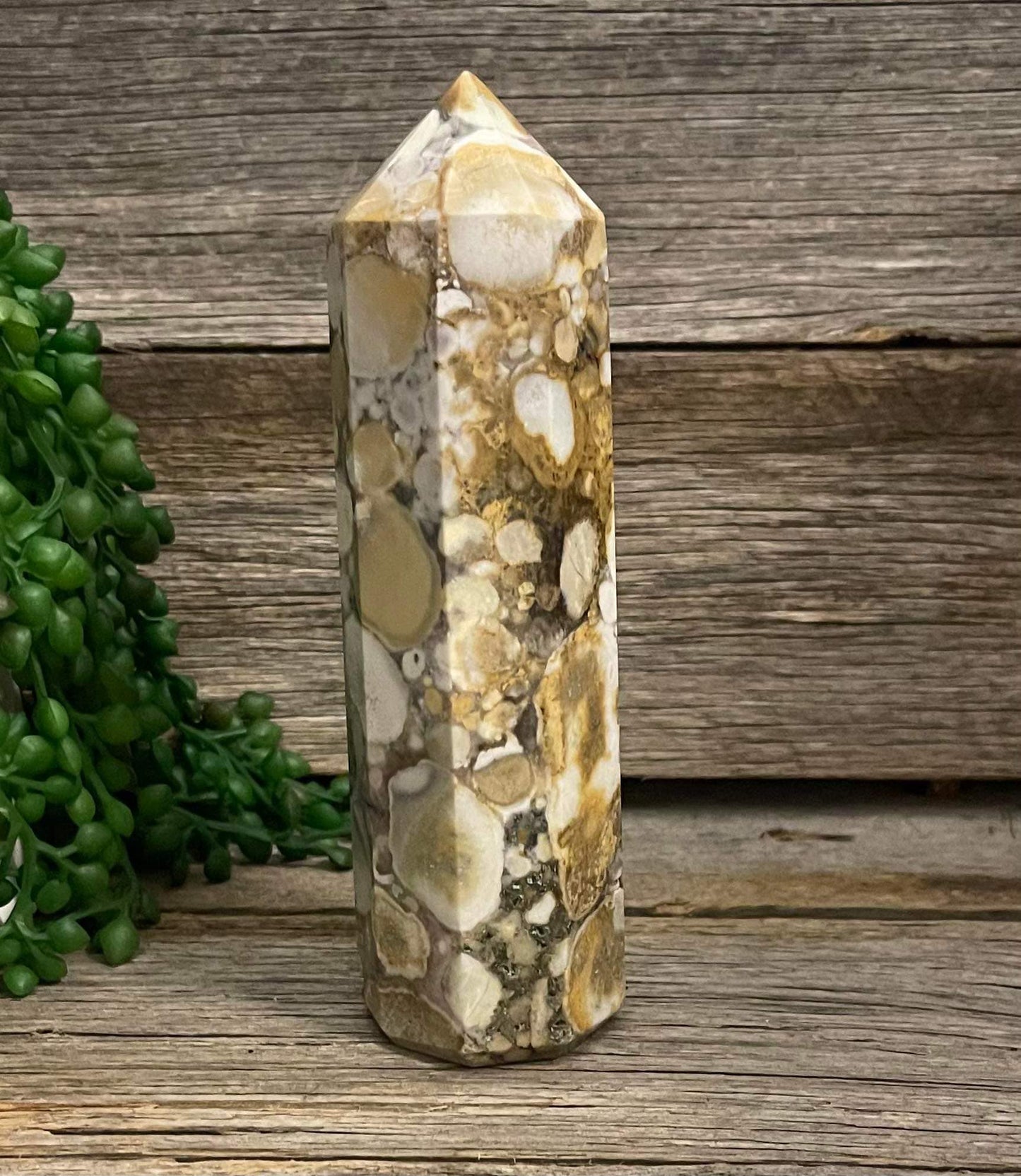 King Cobra Jasper - Crystal Point