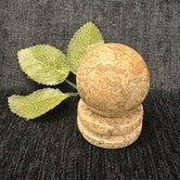 Coral Fossil Sphere with Stand
