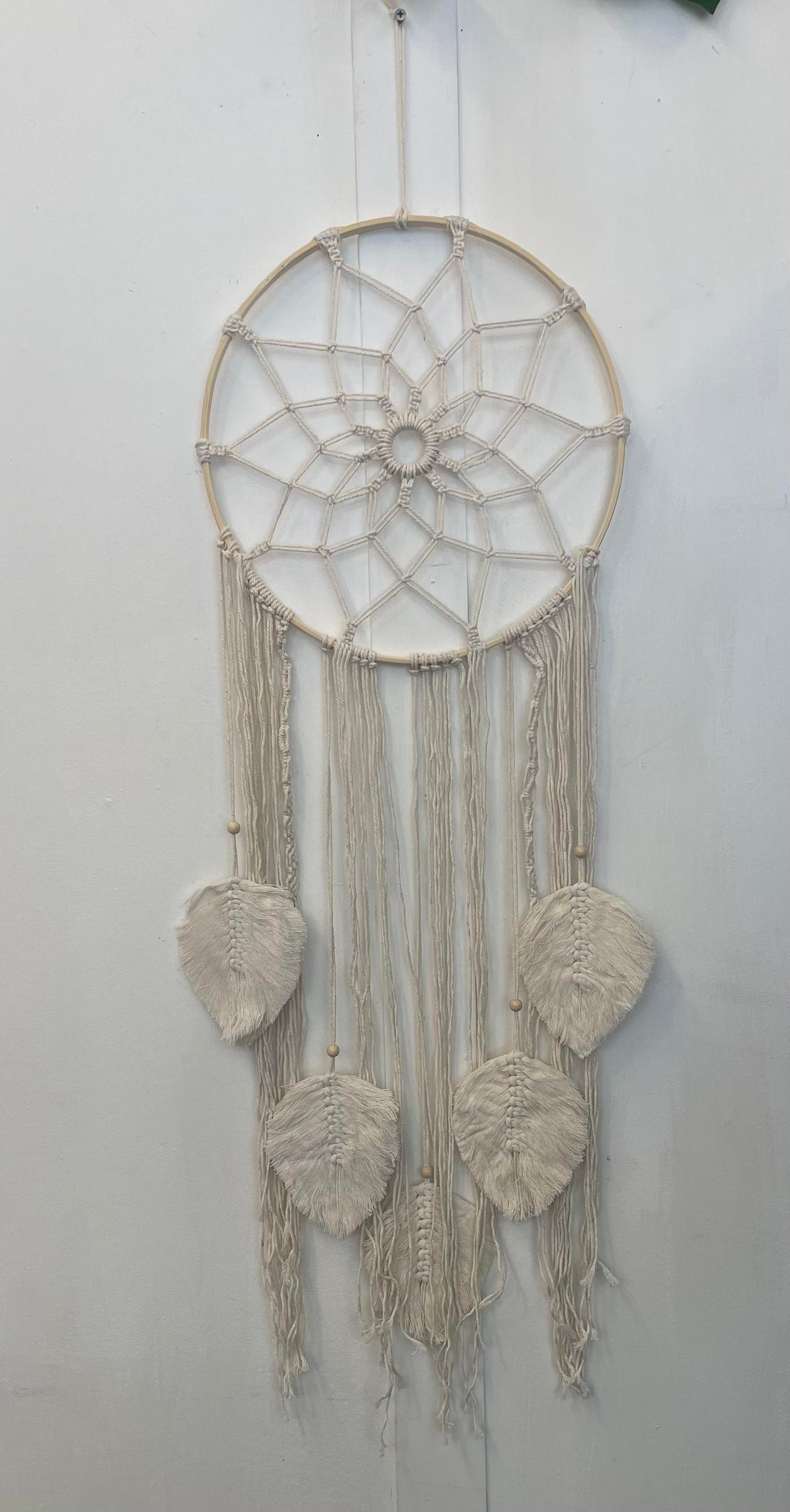 Dream Catcher