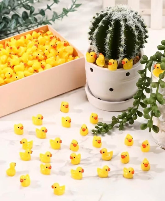 Mini tiny ducks