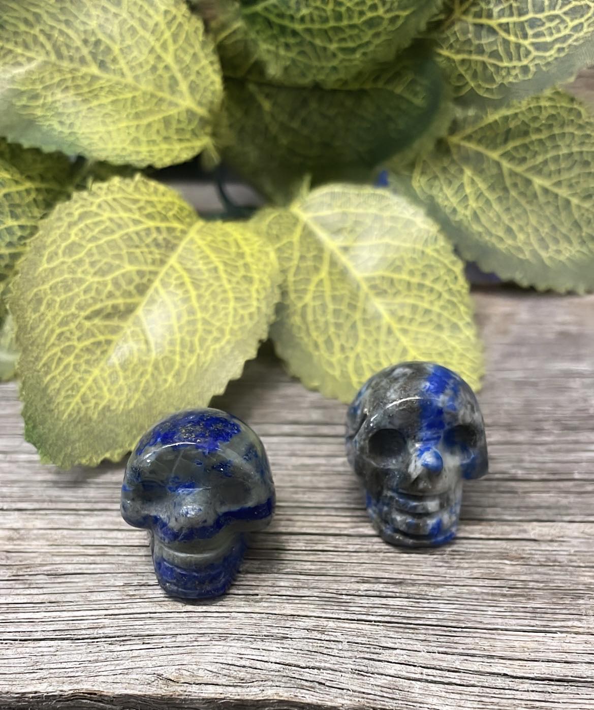 Mini Skulls