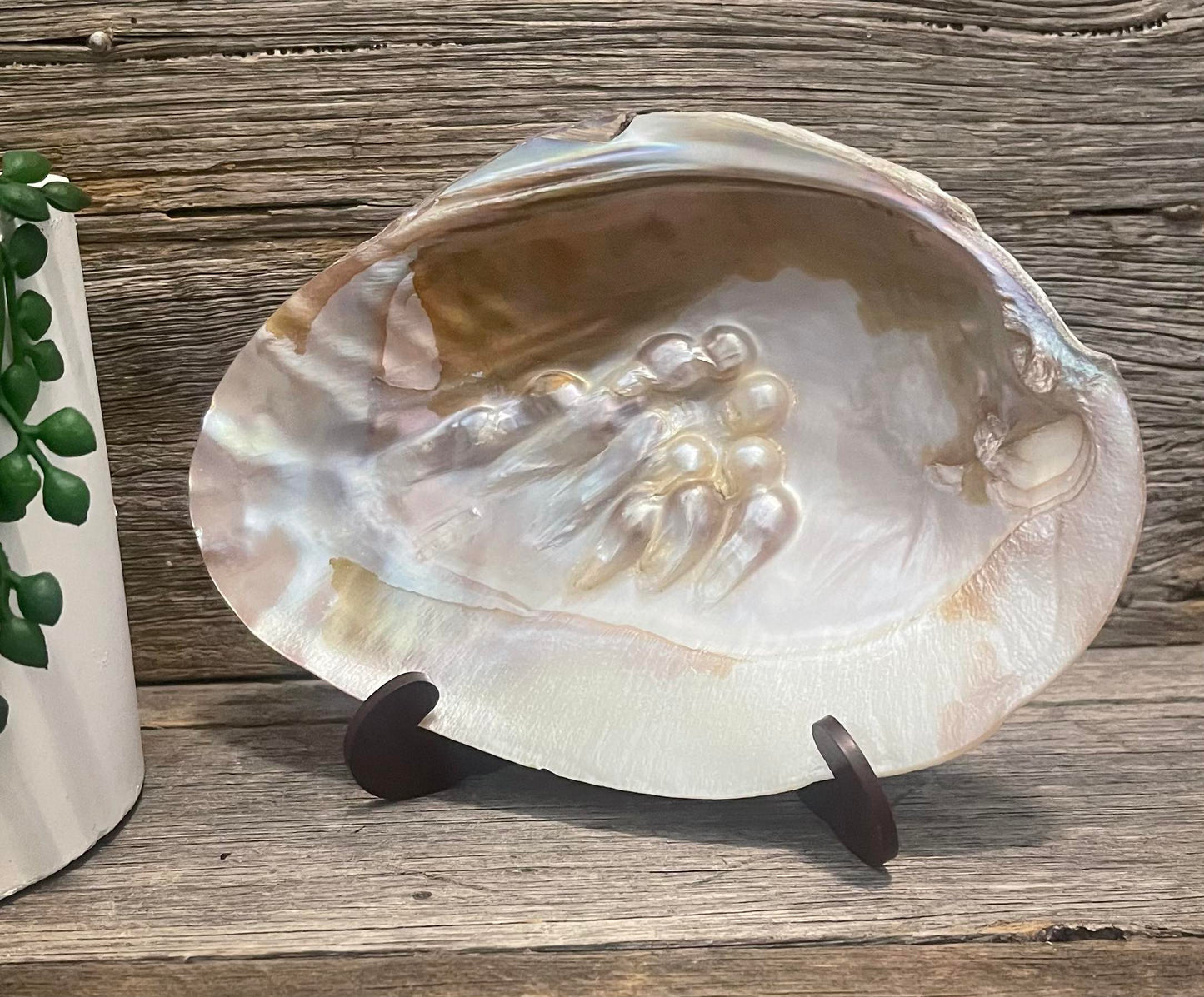 Pearl Shell Ornament