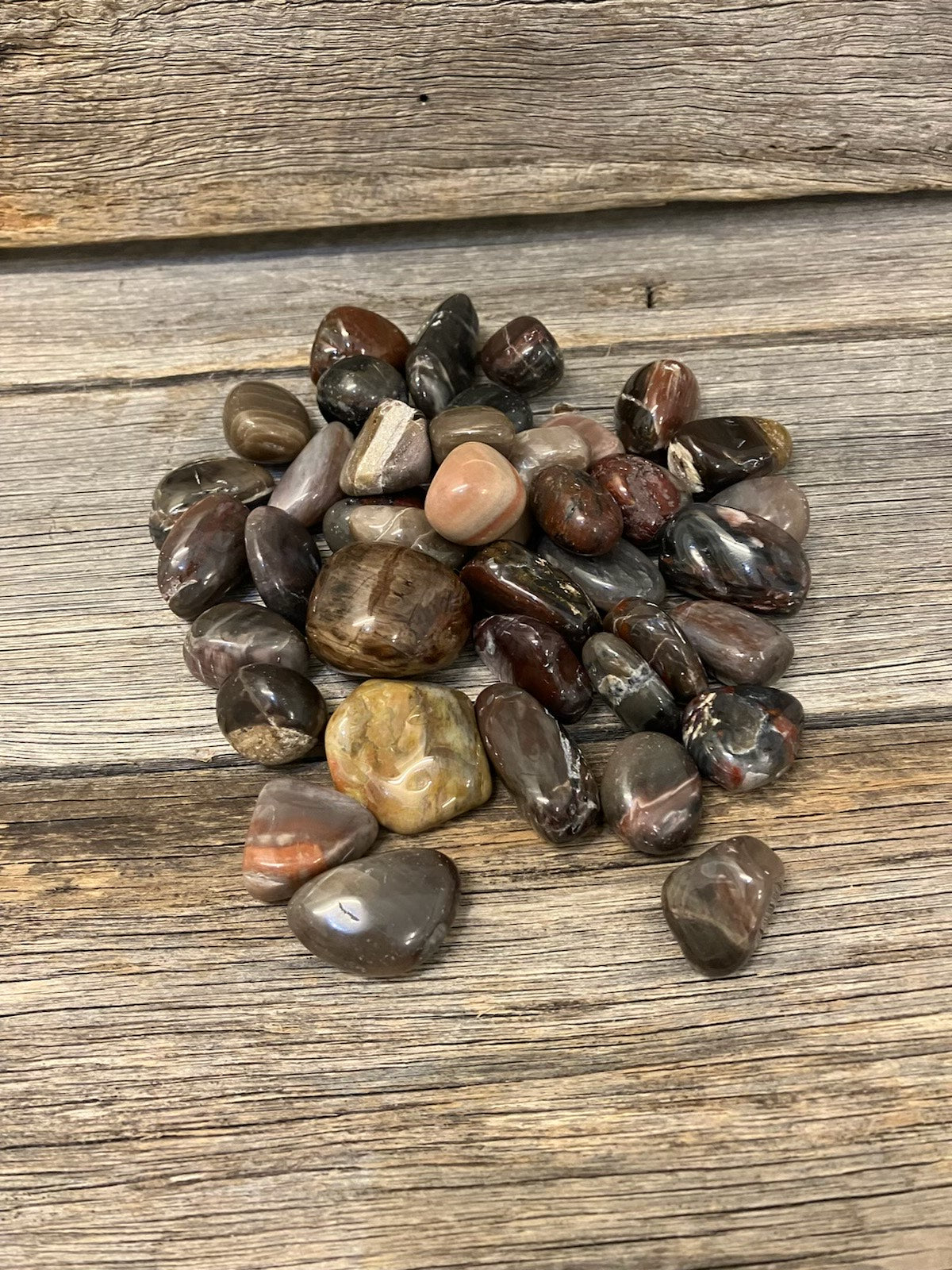 Petrfied Wood Tumbles