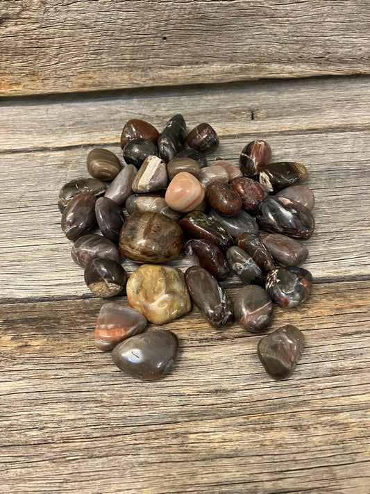 Petrfied Wood Tumbles
