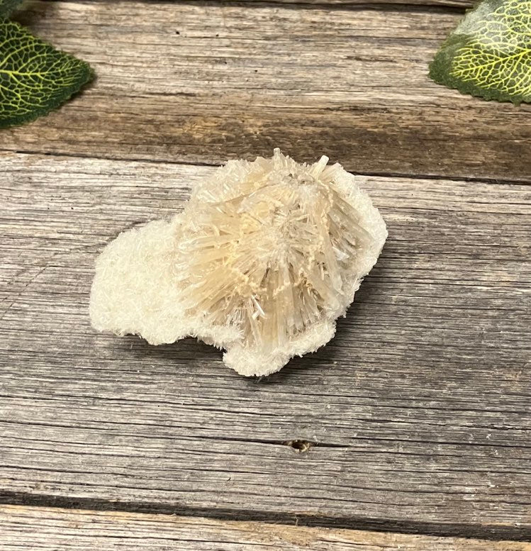 Selenite Flowers Specimen