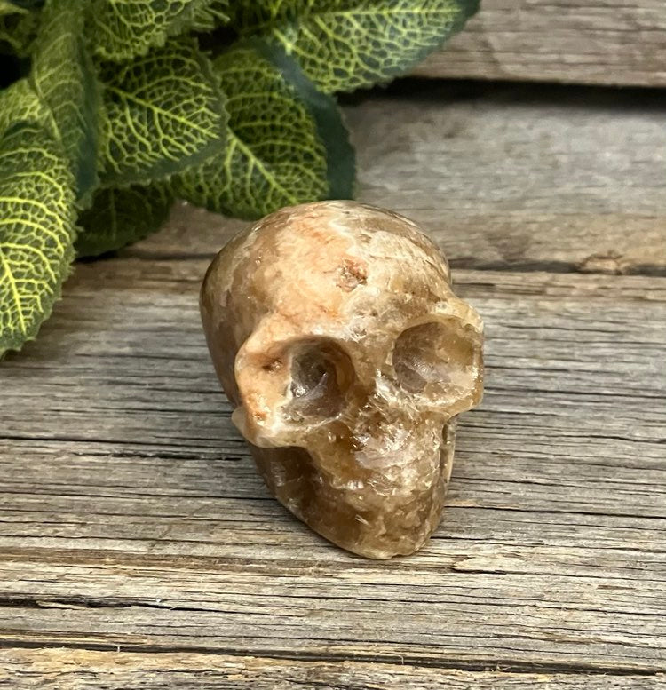 Amber Calcite Skull