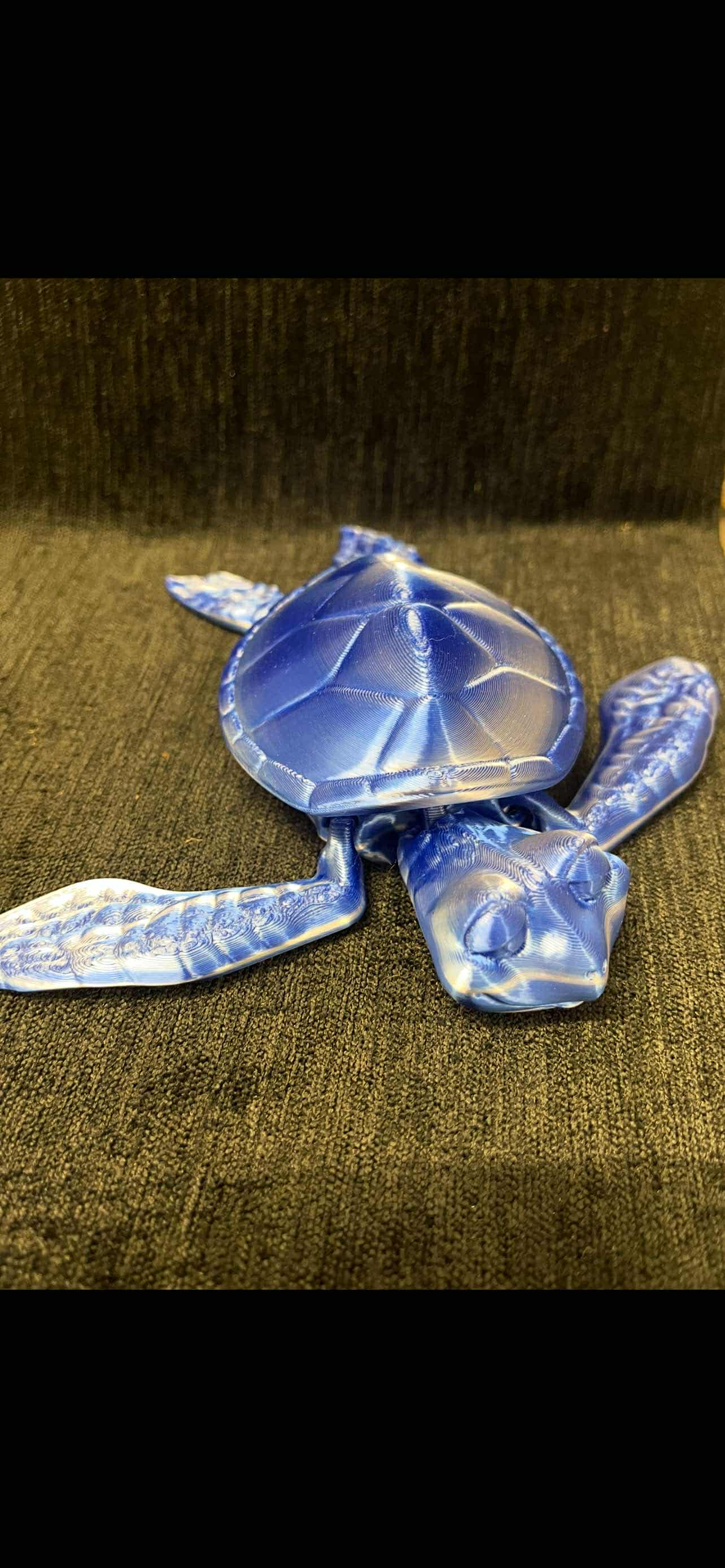 Blue Turtle Sensory Toy